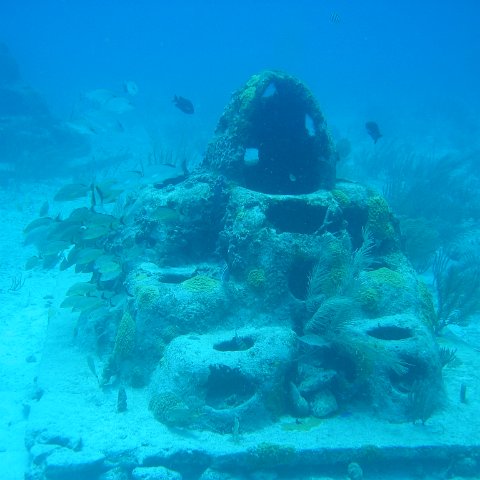 2005Aug5 Cancun 126 2005Aug5 Cancun 126