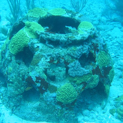 2005Aug5 Cancun 131 2005Aug5 Cancun 131