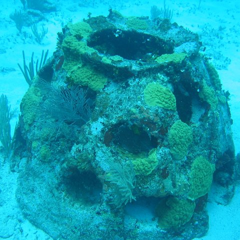 2005Aug5 Cancun 135 2005Aug5 Cancun 135