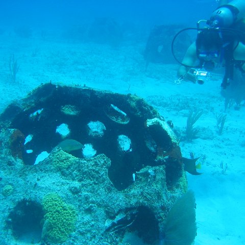 2005Aug5 Cancun 139 2005Aug5 Cancun 139