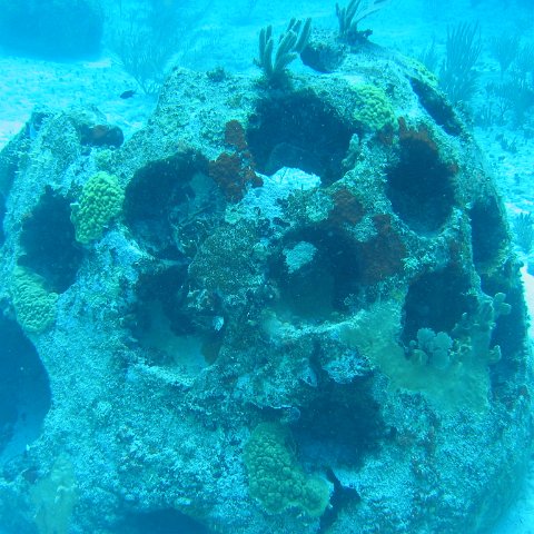 2005Aug5 Cancun 140 2005Aug5 Cancun 140