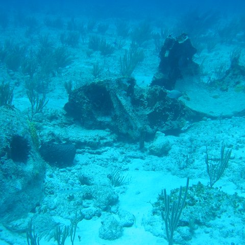 2005Aug5 Cancun 143 2005Aug5 Cancun 143