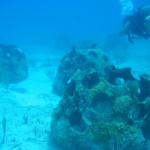 2005Aug5 Cancun 144 2005Aug5 Cancun 144