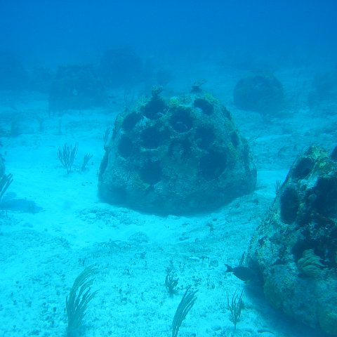 2005Aug5 Cancun 145 2005Aug5 Cancun 145