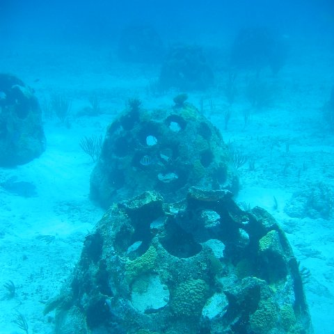 2005Aug5 Cancun 146 2005Aug5 Cancun 146