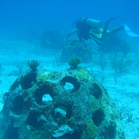 2005Aug5 Cancun 147 2005Aug5 Cancun 147