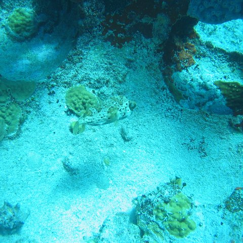 2005Aug5 Cancun 148 2005Aug5 Cancun 148