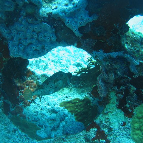 2005Aug5 Cancun 149 2005Aug5 Cancun 149