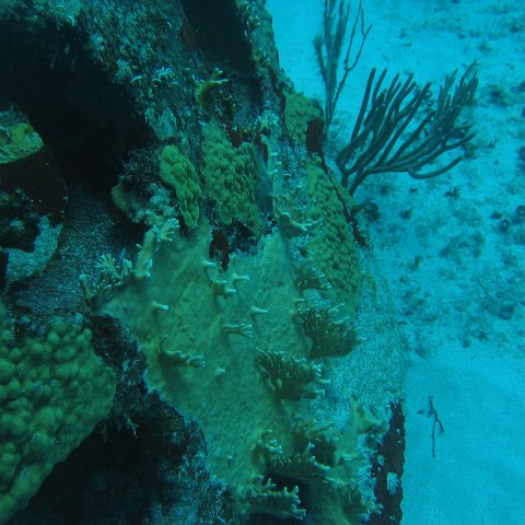 2005Aug5 Cancun 150 2005Aug5 Cancun 150