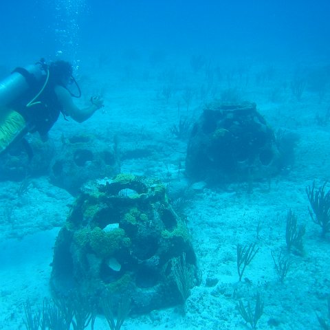 2005Aug5 Cancun 151 2005Aug5 Cancun 151