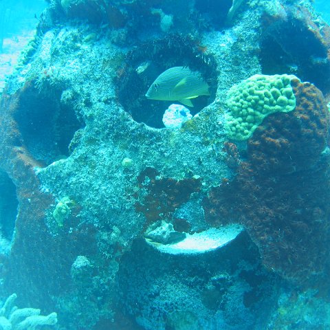 2005Aug5 Cancun 155 2005Aug5 Cancun 155