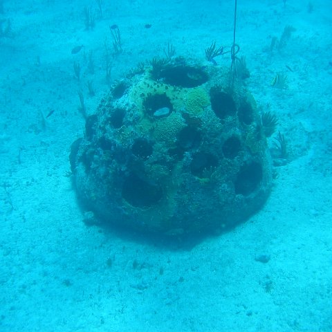 2005Aug5 Cancun 162 2005Aug5 Cancun 162