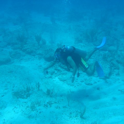 2005Aug5 Cancun 163 2005Aug5 Cancun 163