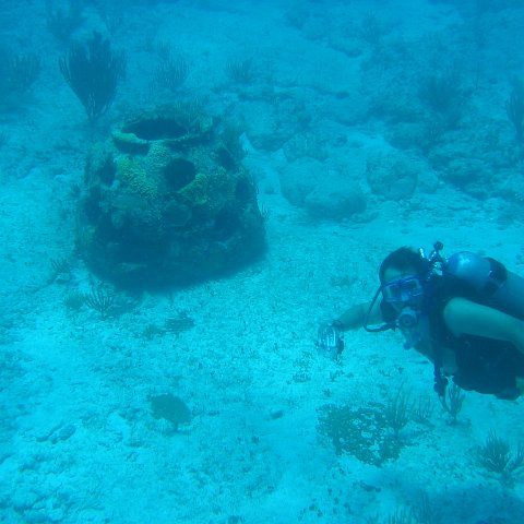 2005Aug5 Cancun 164 2005Aug5 Cancun 164