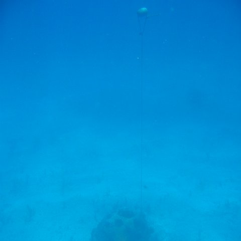 2005Aug5 Cancun 165 2005Aug5 Cancun 165