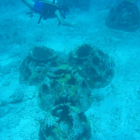 2005Aug5 Cancun 166 2005Aug5 Cancun 166
