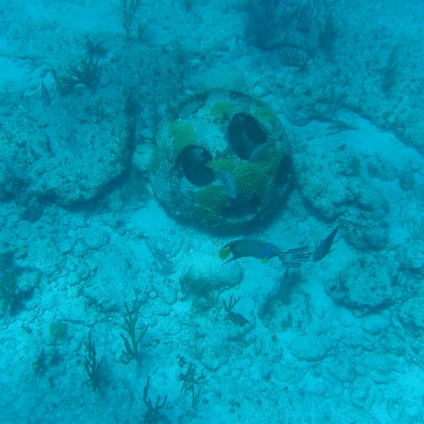 2005Aug5 Cancun 167 2005Aug5 Cancun 167