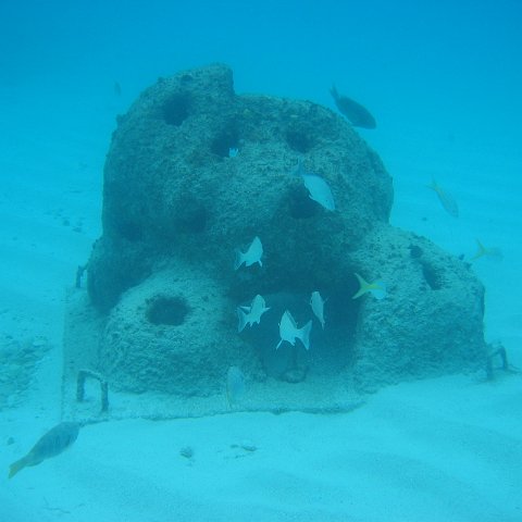 2005Aug5 Cancun 173 2005Aug5 Cancun 173