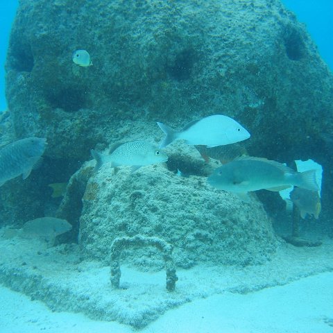2005Aug5 Cancun 174 2005Aug5 Cancun 174