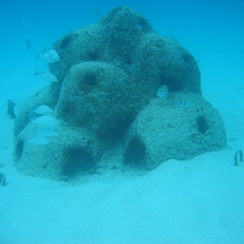 2005Aug5 Cancun 176 2005Aug5 Cancun 176