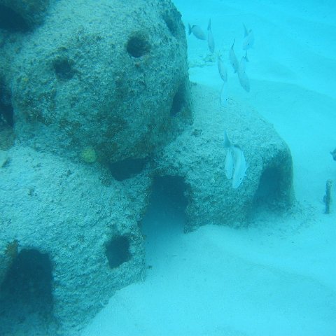 2005Aug5 Cancun 179 2005Aug5 Cancun 179
