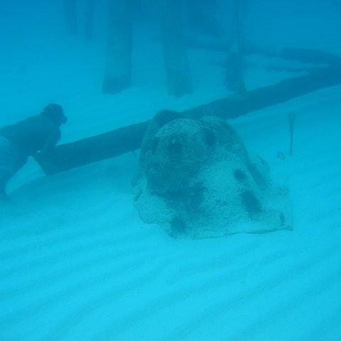 2005Aug5 Cancun 184 2005Aug5 Cancun 184