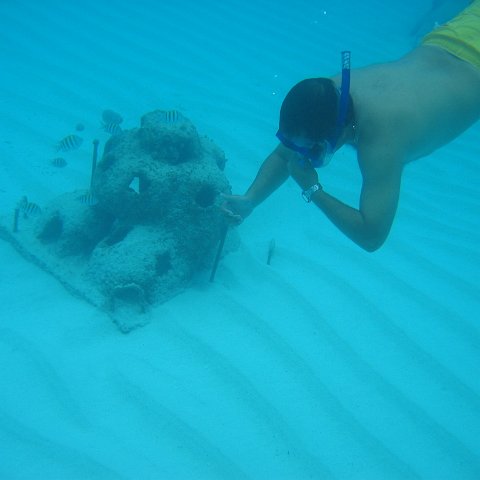 2005Aug5 Cancun 191 2005Aug5 Cancun 191