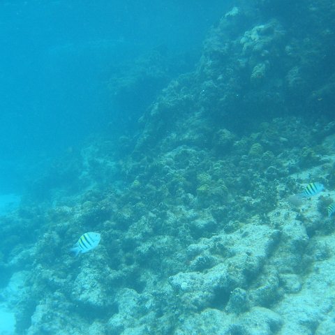 2005Aug5 Cancun 192 2005Aug5 Cancun 192
