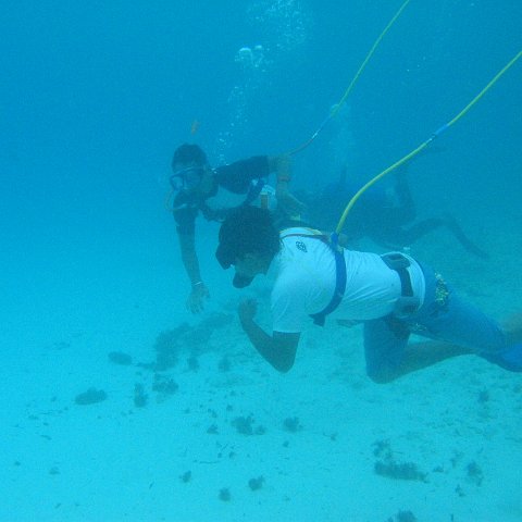 2005Aug5 Cancun 206 2005Aug5 Cancun 206