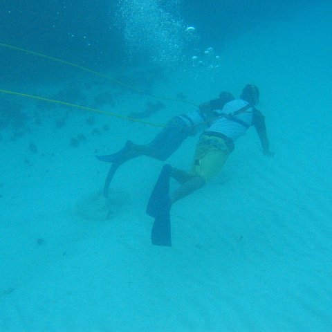 2005Aug5 Cancun 207 2005Aug5 Cancun 207
