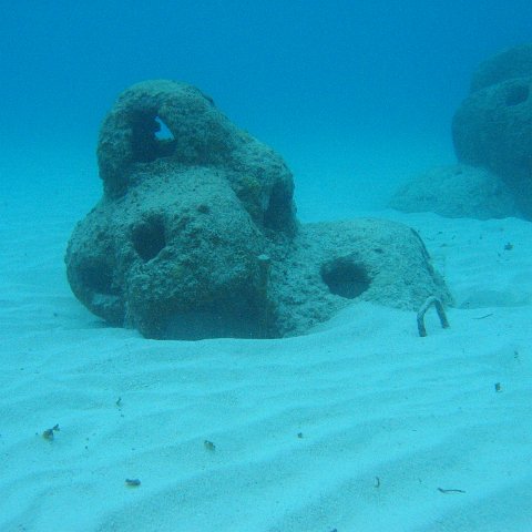 2005Aug5 Cancun 208