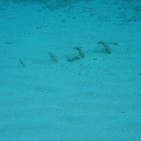 2005Aug5 Cancun 211 2005Aug5 Cancun 211