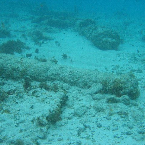 2005Aug5 Cancun 217 2005Aug5 Cancun 217