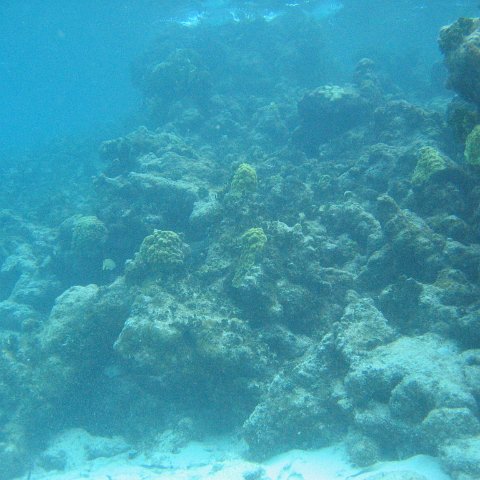 2005Aug5 Cancun 218 2005Aug5 Cancun 218