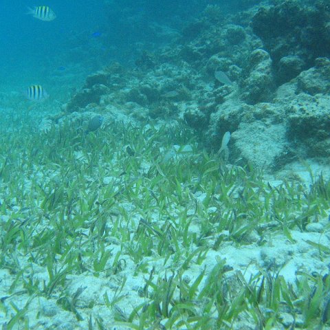 2005Aug5 Cancun 219 2005Aug5 Cancun 219