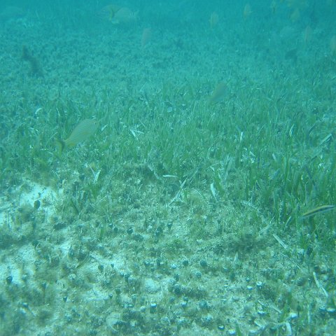 2005Aug5 Cancun 225 2005Aug5 Cancun 225