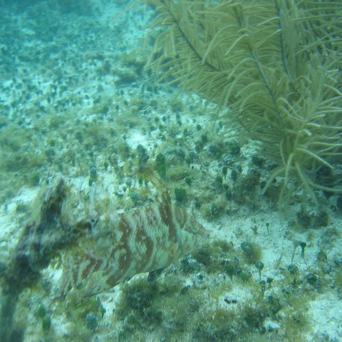 2005Aug5 Cancun 227 2005Aug5 Cancun 227
