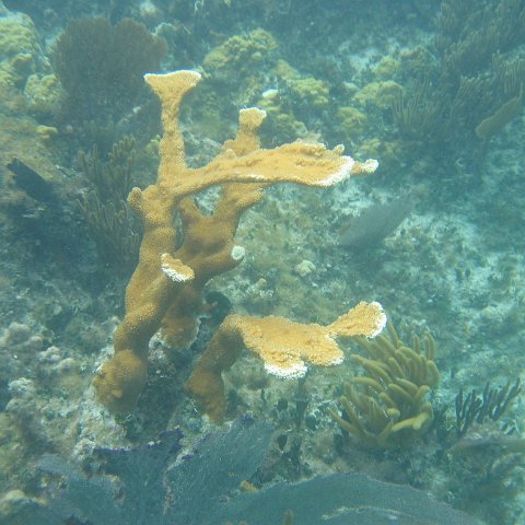 2005Aug5 Cancun 228 2005Aug5 Cancun 228