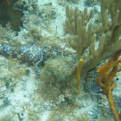 2005Aug5 Cancun 229 2005Aug5 Cancun 229