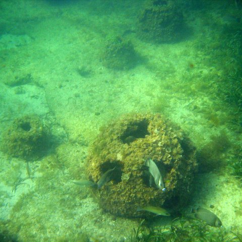 img_0384 img_0384