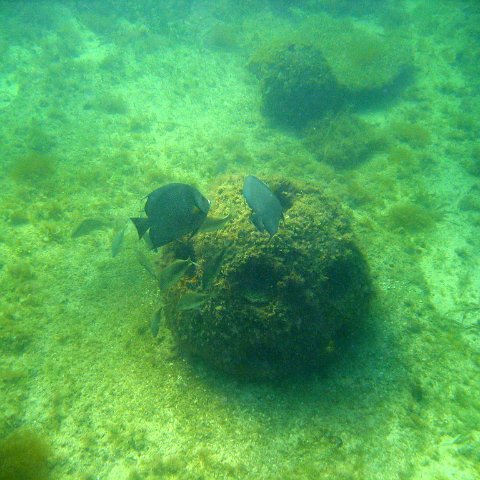 img_0385 img_0385
