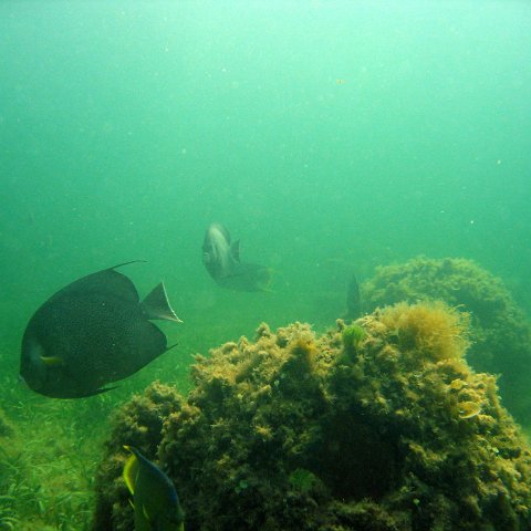 img_0395 img_0395
