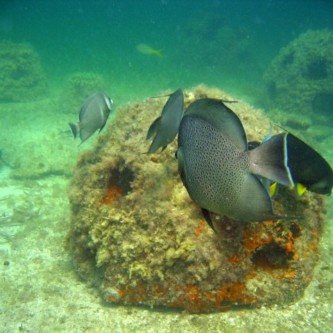 img_0404 img_0404