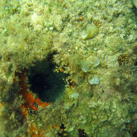 img_0406 img_0406