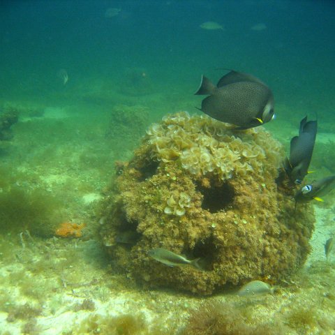 img_0408 img_0408