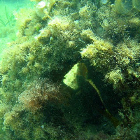 img_0424 img_0424