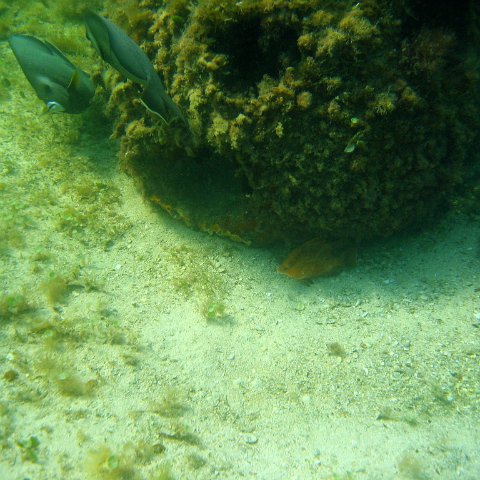 img_0425 img_0425
