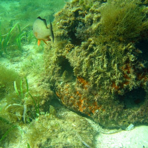 img_0427 img_0427