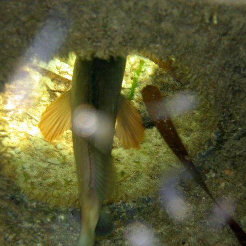 img_0444 img_0444