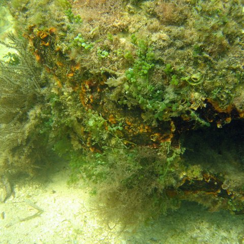 img_0451 img_0451